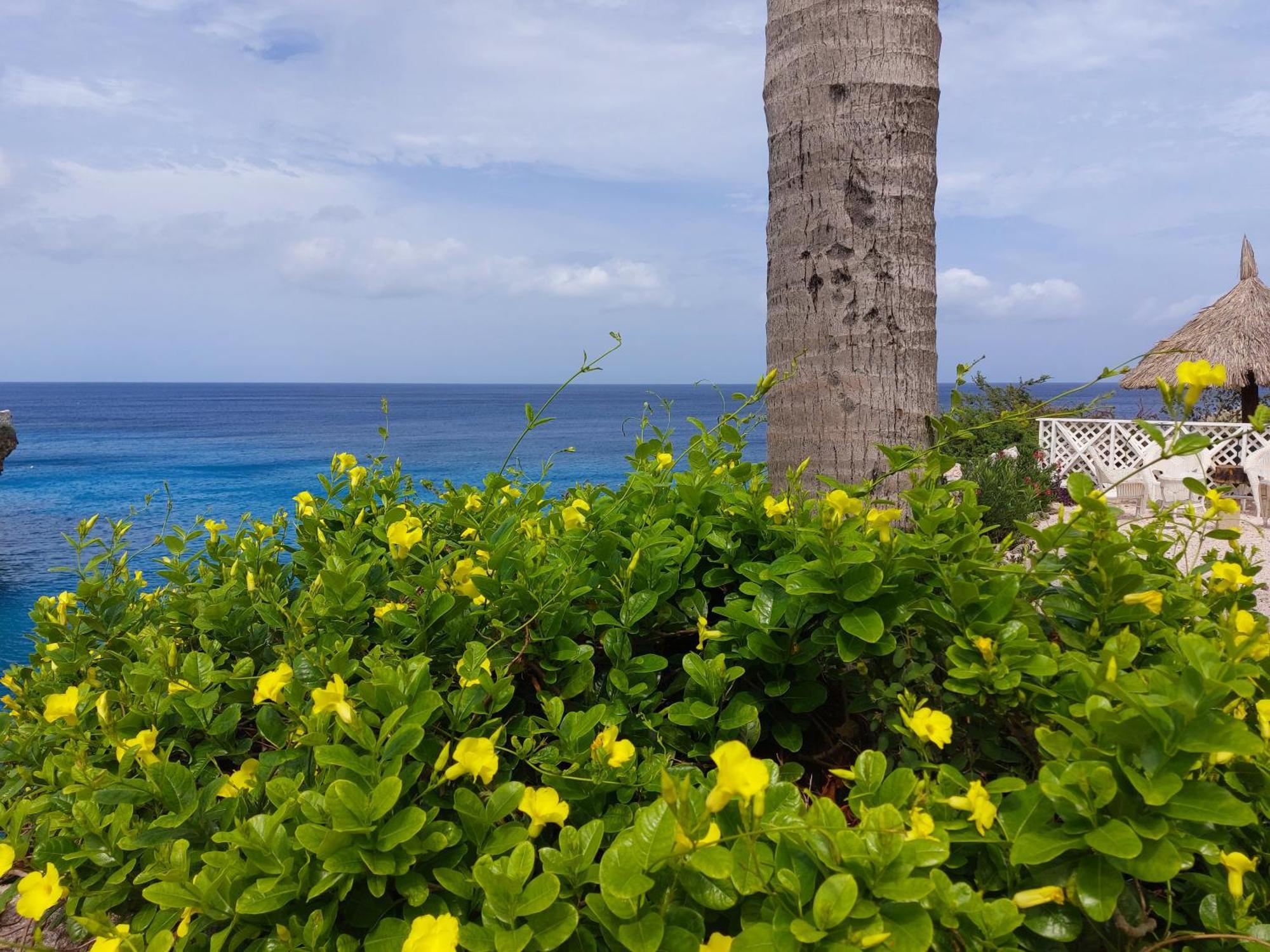 Apartament Bon Bini Lagun Curacao Zewnętrze zdjęcie