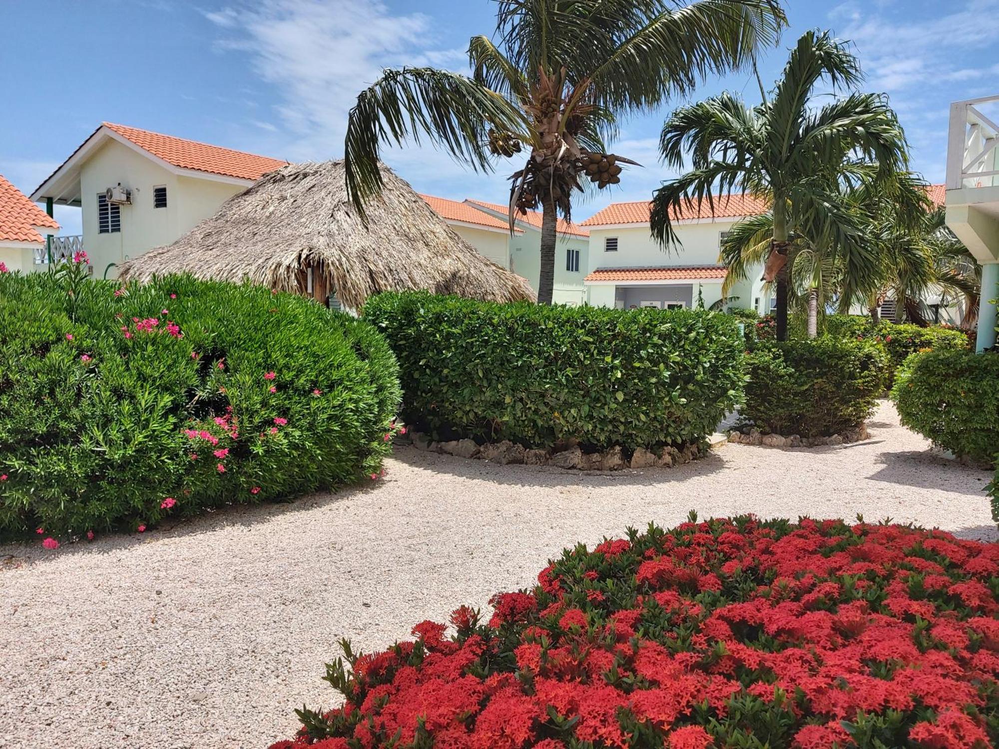 Apartament Bon Bini Lagun Curacao Zewnętrze zdjęcie